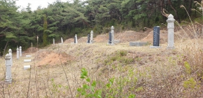 12번(동대동 1-6) 지상과 인접지번에 1열(5기), 2열(4기)로 있는 분묘