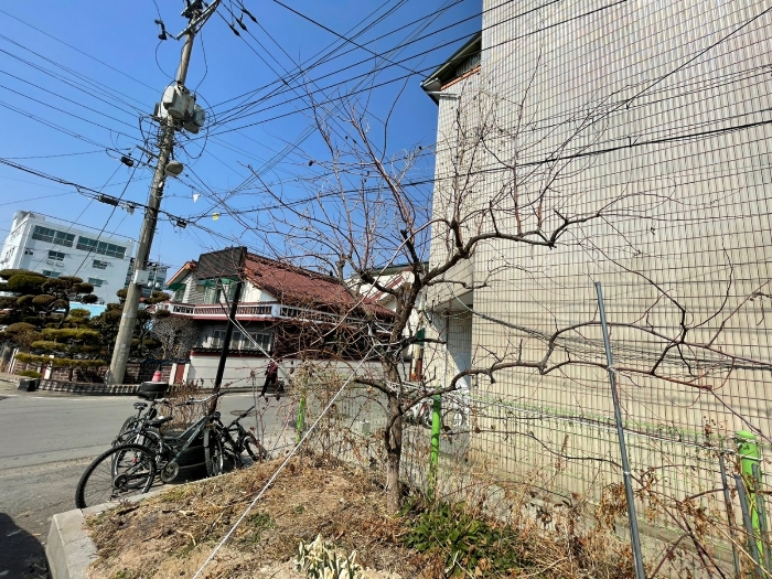 2022타경589