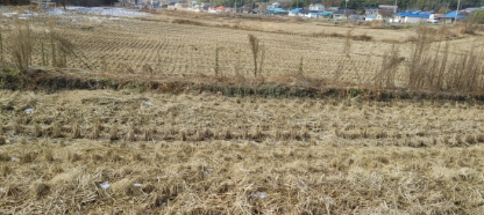 목록 6번 부동산 모습(2번, 3번, 7번 부동산과 연접해 있고 상호간 경계표시