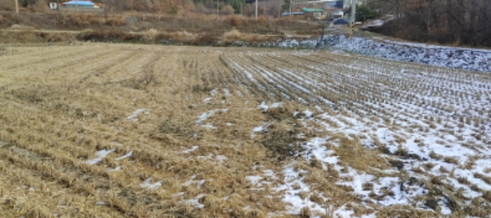 목록 6번 부동산 모습