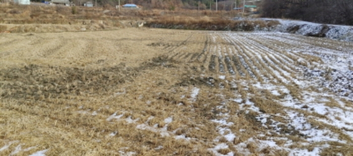 목록 6번 부동산 모습