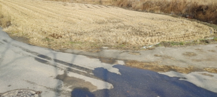 목록 1번 부동산 모습(논 부분)