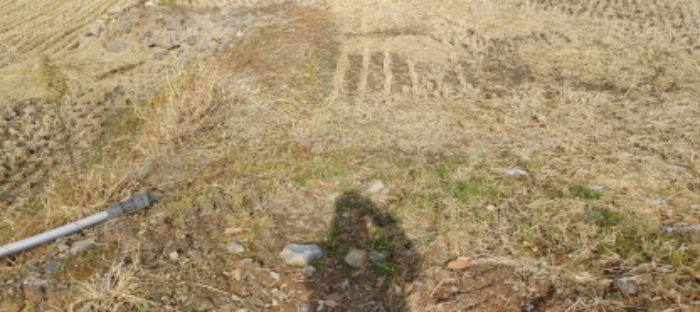 목록 3번 부동산 모습(2번, 6번 부동산과 연접하여 있고 상호간 경계표시 없음)