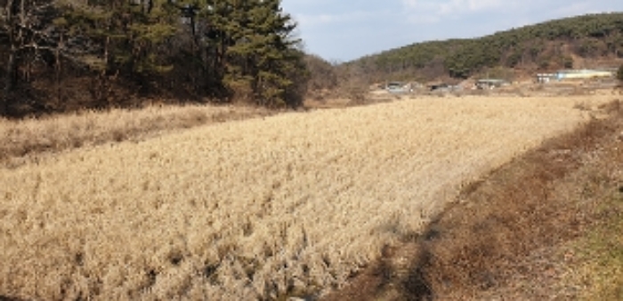2번 부동산 현황 `답` 전경