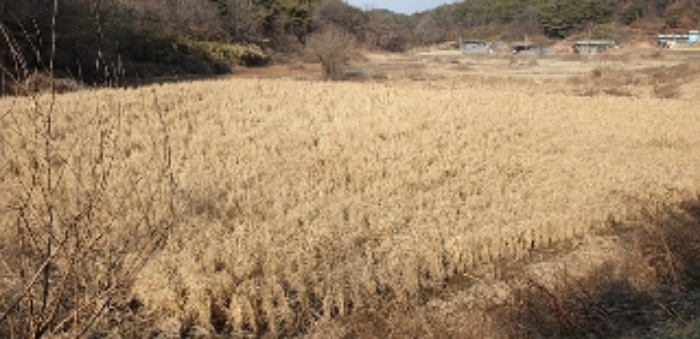 2번 부동산 현황 `답` 전경