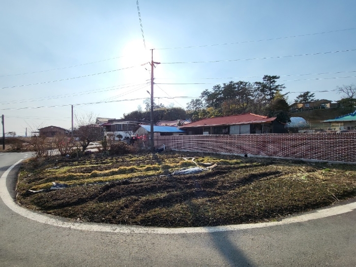 2023타경15274