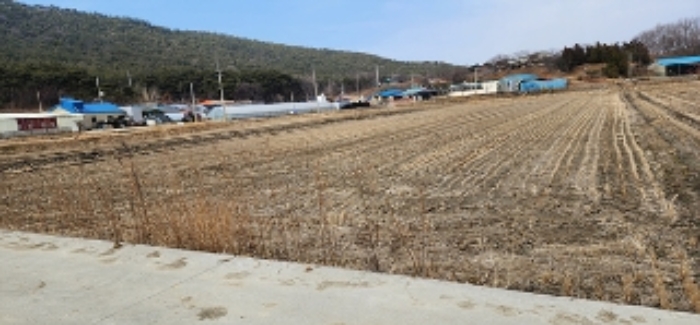 2023타경15908[2]