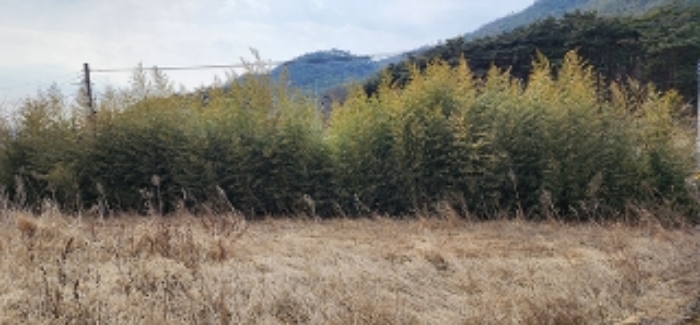 2023타경15908[2]