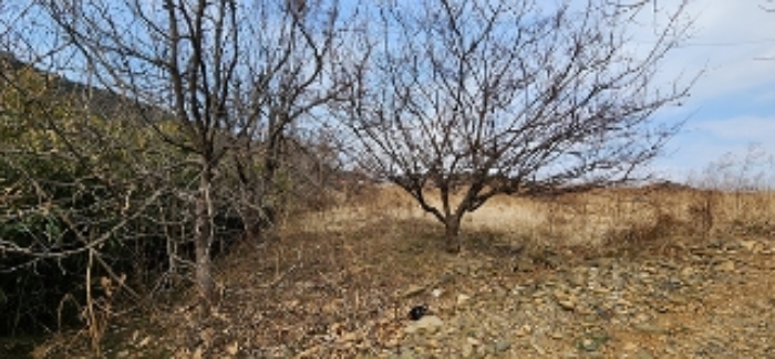 2023타경15908[2]