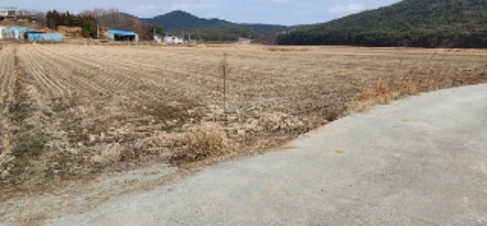 2023타경15908[2]