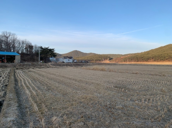 2023타경15908[2]