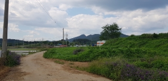 도로 옆에 소재한 1번 부동산(전)의 모습