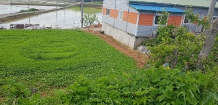 1번 부동산과 인접 토지의 경계부분 모습