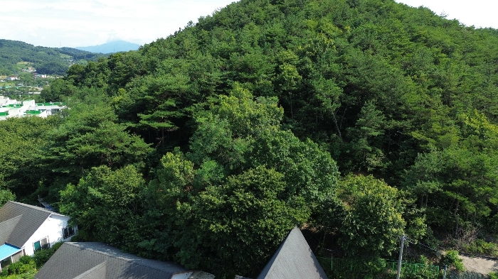 본건 전경