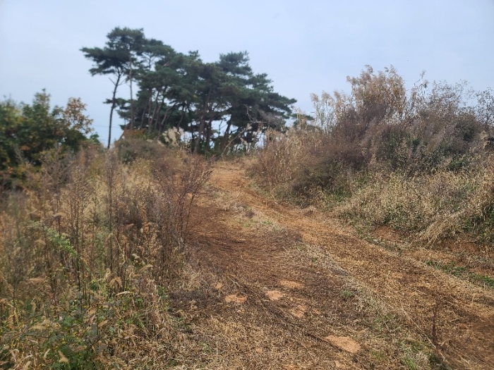 일련번호(2)