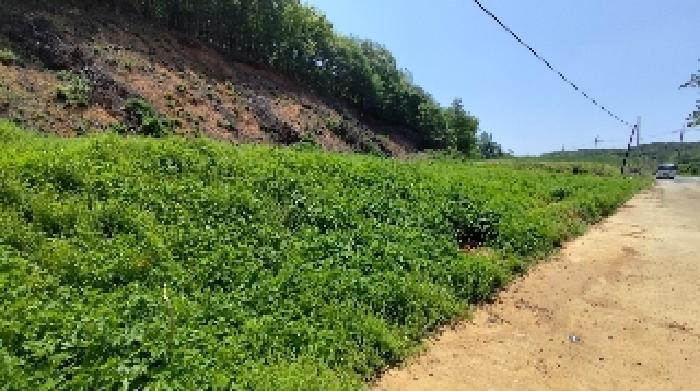2번 부동산