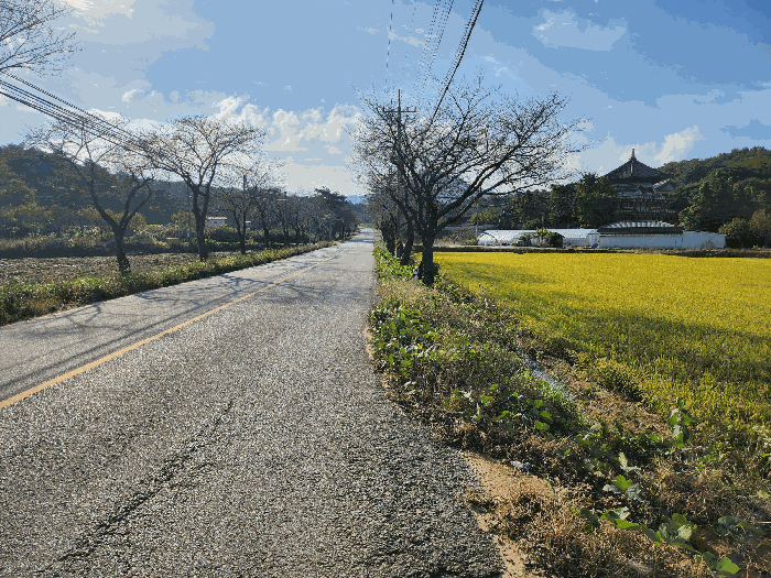 기호1 전경(진입도로)