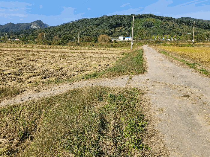 기호2 전경(진입로)