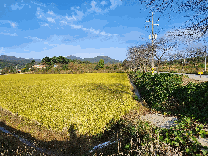 기호1 전경