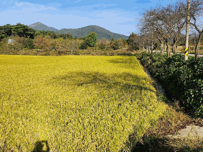 기호1 전경