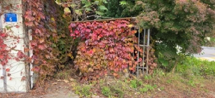 본 부동산 동쪽 지상 용도미상의 구조물 모습