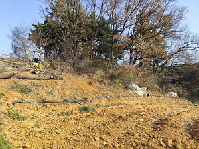 본건 부동산의 다른 사진(임야의 모습)
