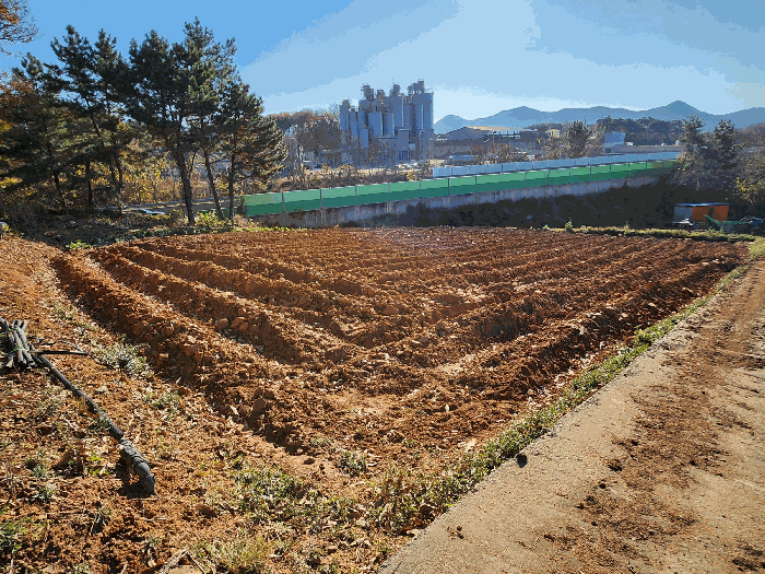 본건 전경
