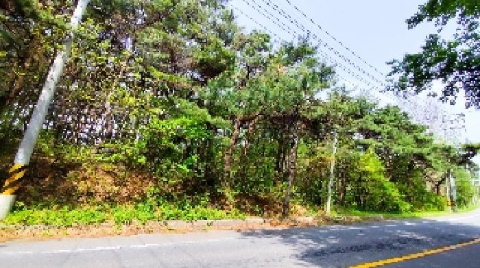 2번 부동산