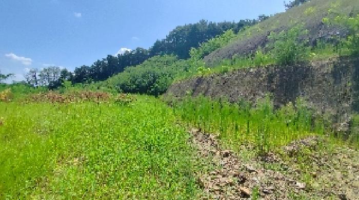 2번 부동산