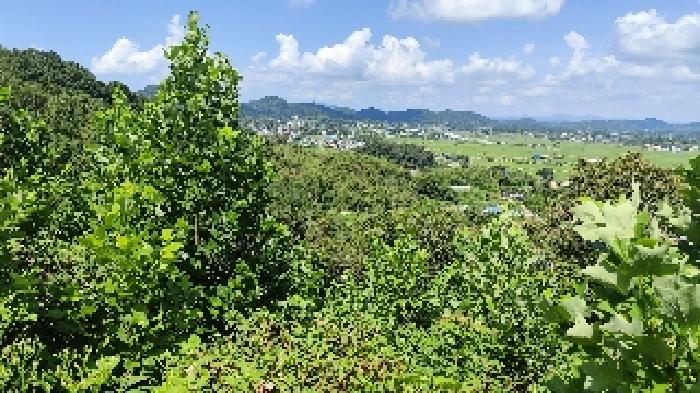 6번 부동산