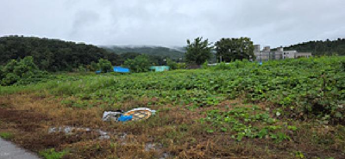 본 부동산 모습