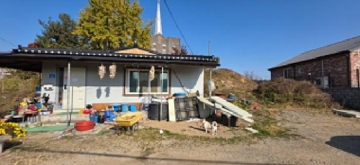 본 부동산 모습