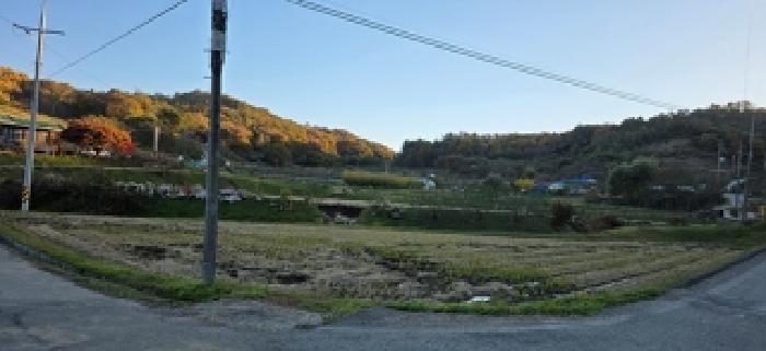 본 부동산 북쪽 `답` 모습