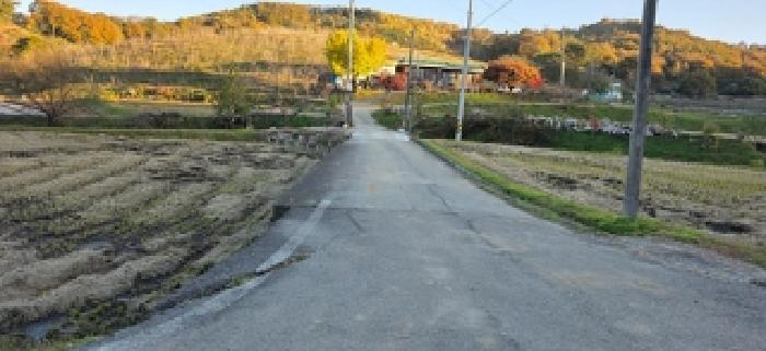 본 부동산 중간에 소재한 아스팔트로 포장된 도로 모습