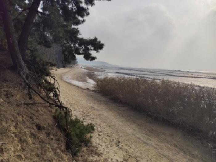 본건 부동산