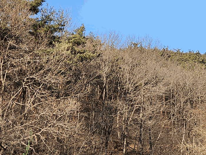 본건 전경