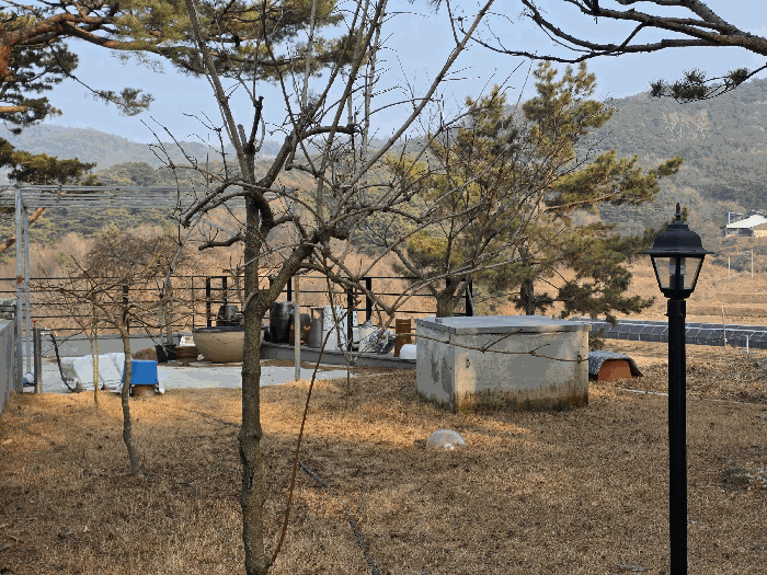 기호(1) 지상 제시외 수목 및 관정