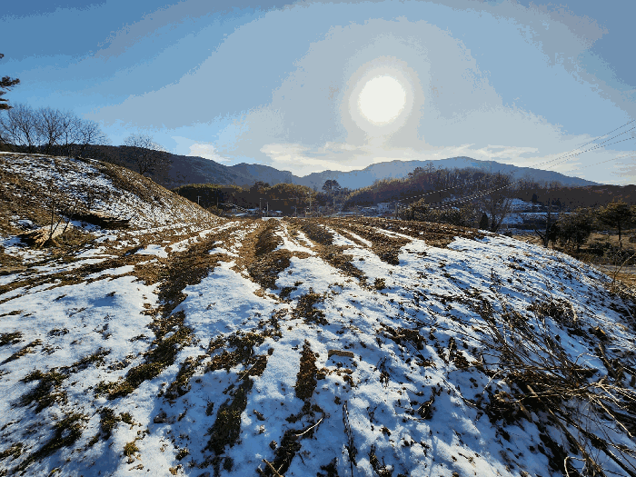 기호 4 전경
