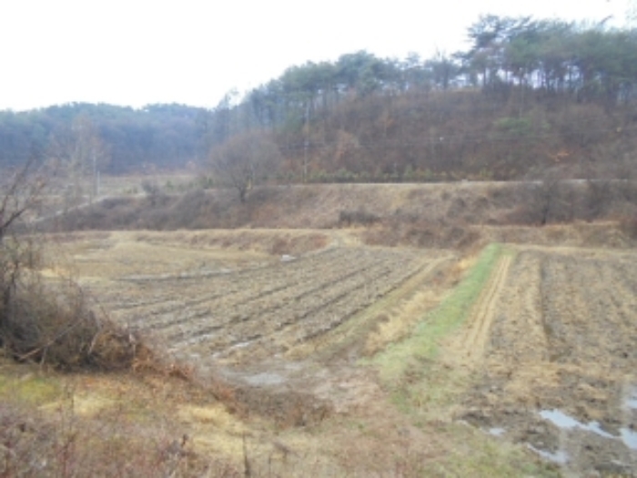 2022타경20463