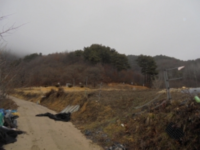 2022타경22155