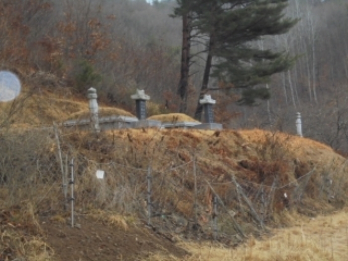 2022타경22155