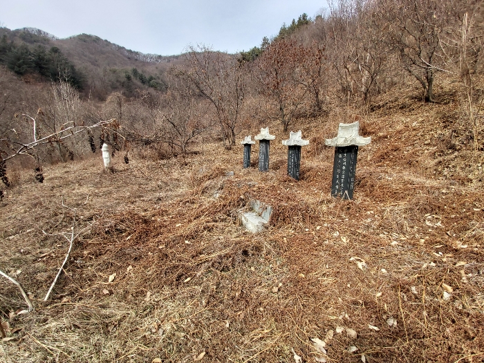 2022타경22155
