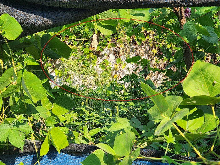 본건 기호(2) 지상 간이구조물 3