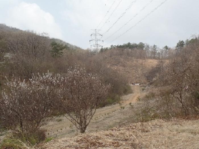 본건 서측 전경