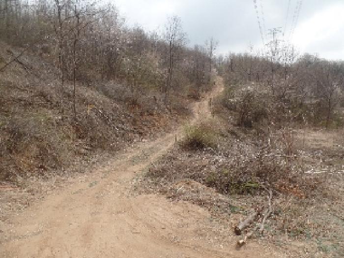 일부 임도 및 목측 일부 임지상 제시외 `고압송전탑` 일부 소재