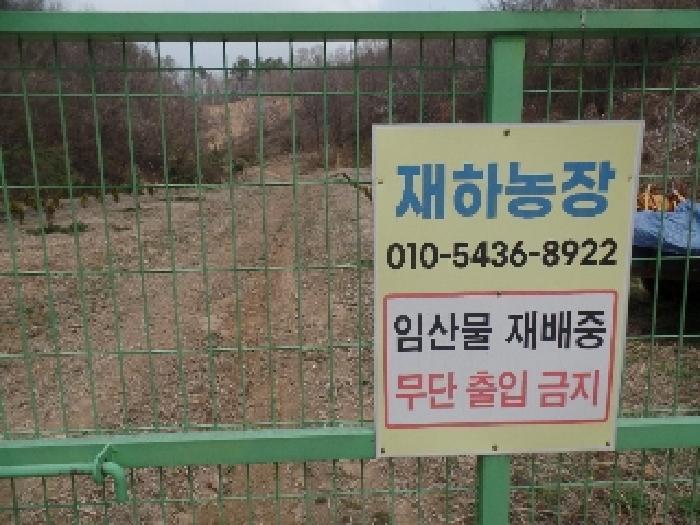 공유자 김경수의 `산림농장` 소재