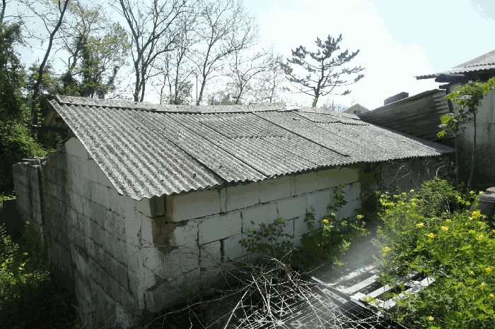 축사 근경