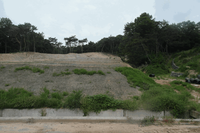 본건 임야의 산지전용 부분 근경(남측 공도에서 촬영)
