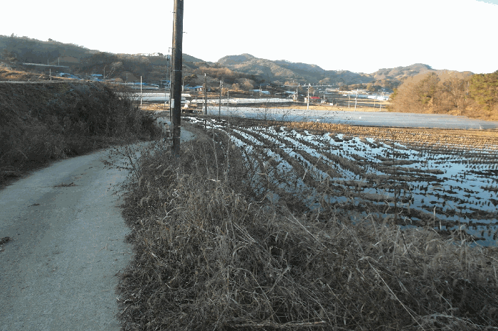 본건 토지의 근경(현 "답")