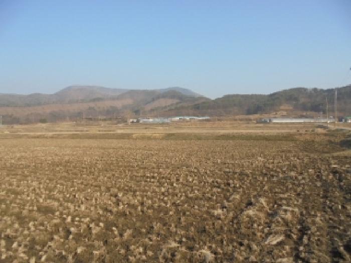 기호(1)전경
